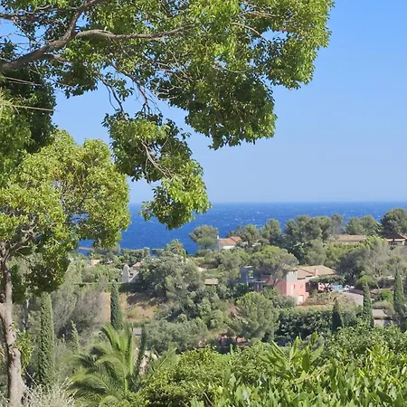 Bleu D'azur *